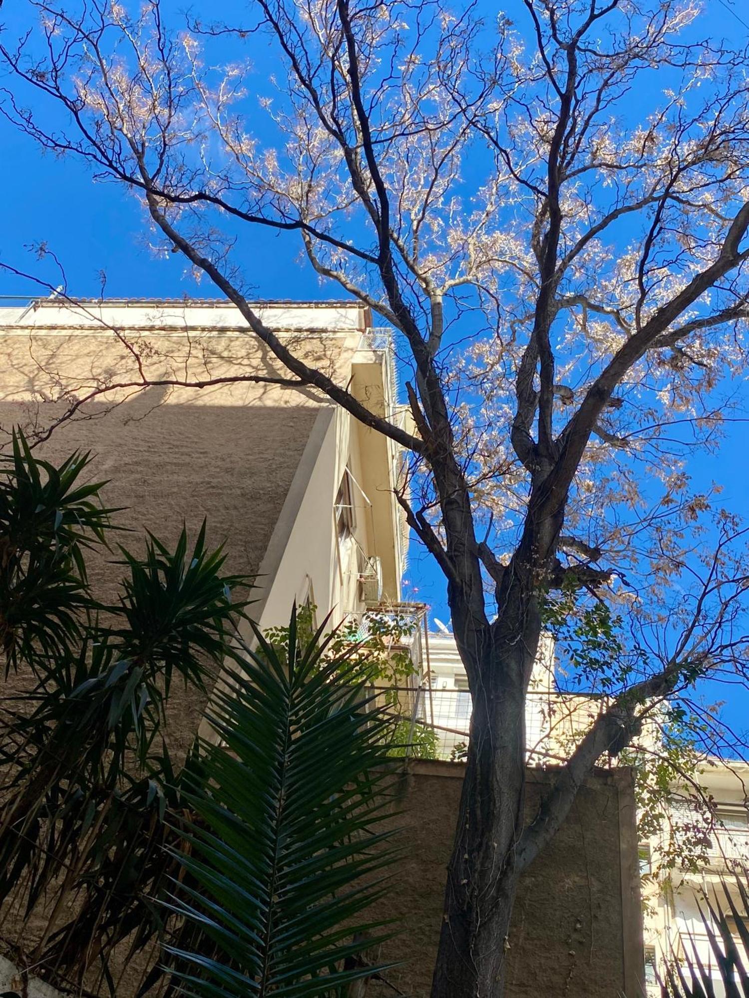 Urban Residence Kolonaki Athens Exterior photo